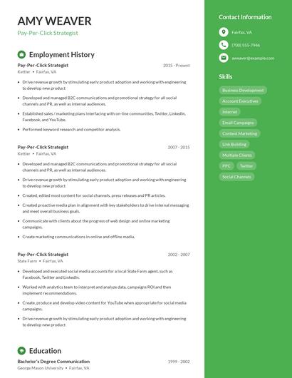 Pay-Per-Click Strategist Resume