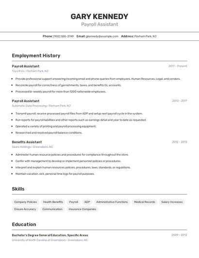 Resume example 2