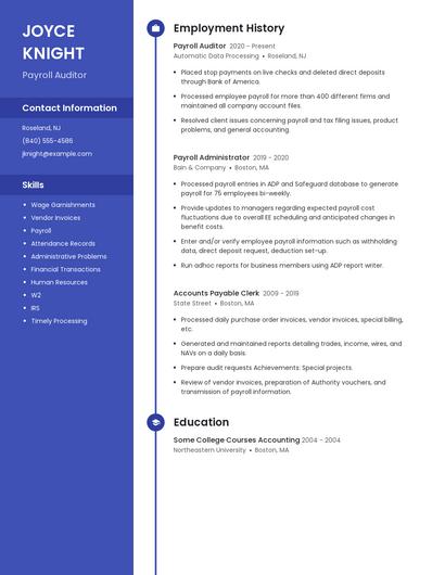 Payroll Auditor Resume