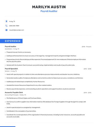 Payroll Auditor Resume