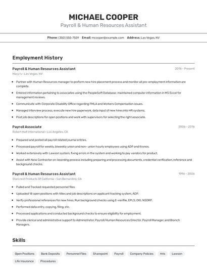 Resume example 2