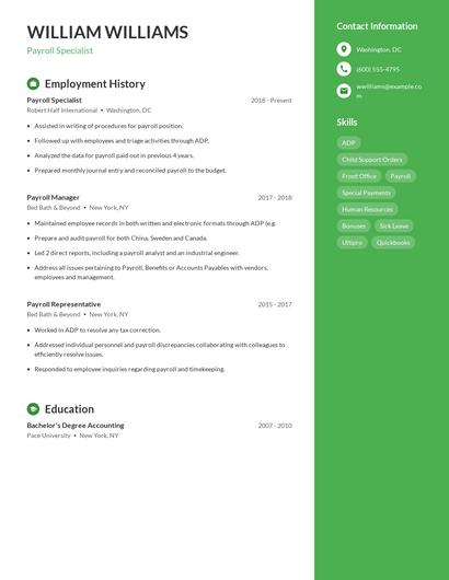 Resume example 4
