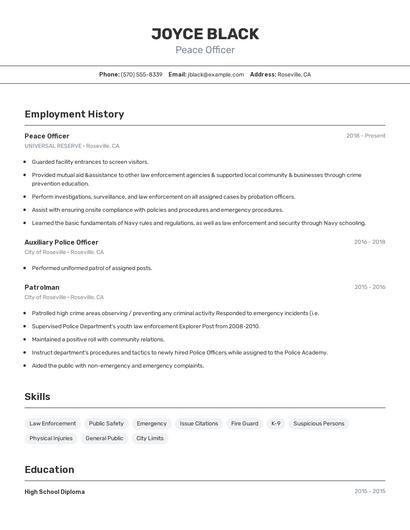 Resume example 2