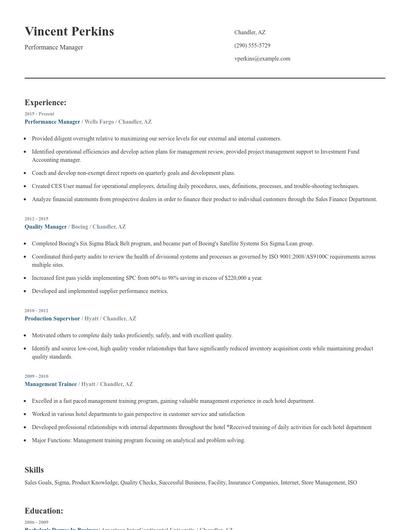 Performance Manager Resume