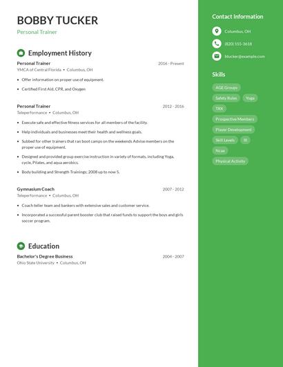 Resume example 4