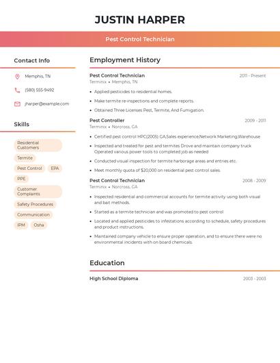 Resume example 3