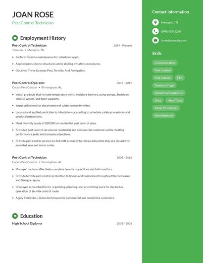 Resume example 4