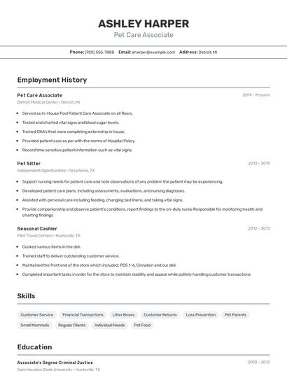 Resume example 2