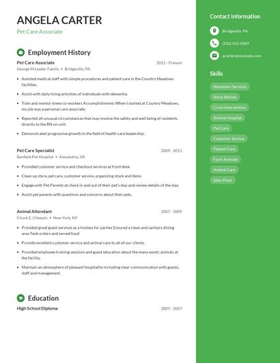 Resume example 4