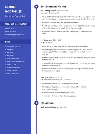 Resume example 5