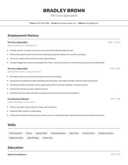 Resume example 2