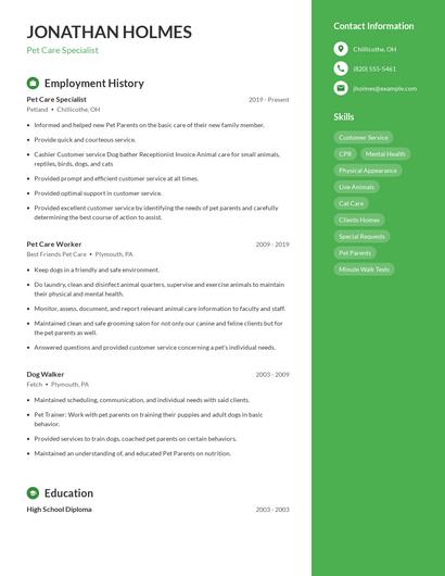 Resume example 4