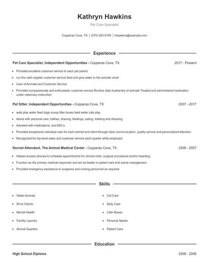 Resume example 1