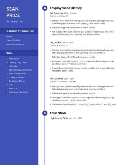 Resume example 5