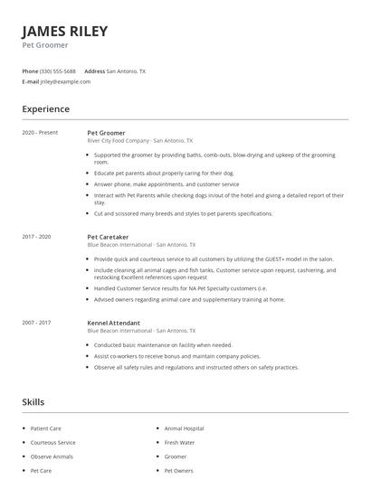 Pet Groomer Resume