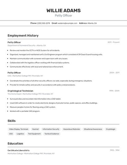 Resume example 2