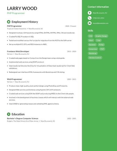 PHP Programmer Resume