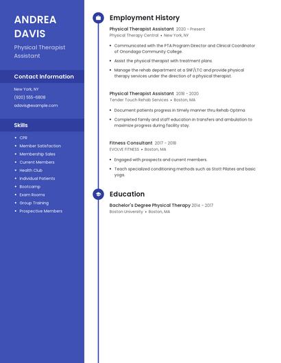 Resume example 4