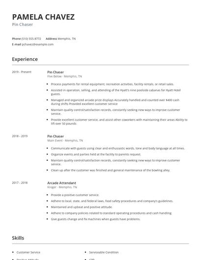 Pin Chaser Resume