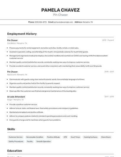 Pin Chaser Resume