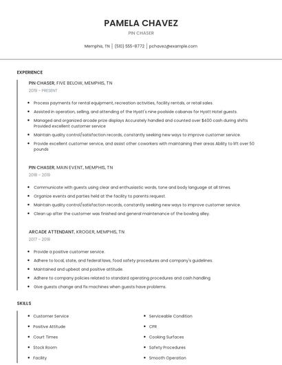 Pin Chaser Resume