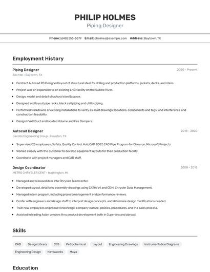 Resume example 2