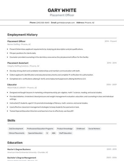 Placement Officer Resume