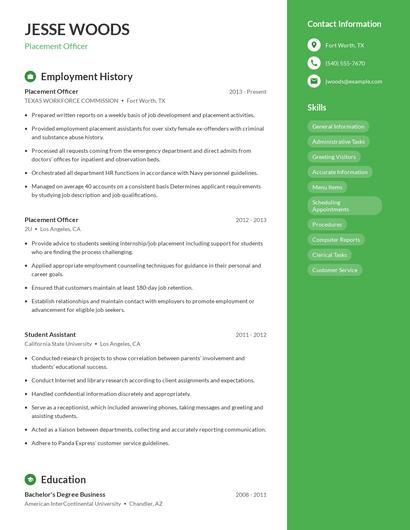 Placement Officer Resume
