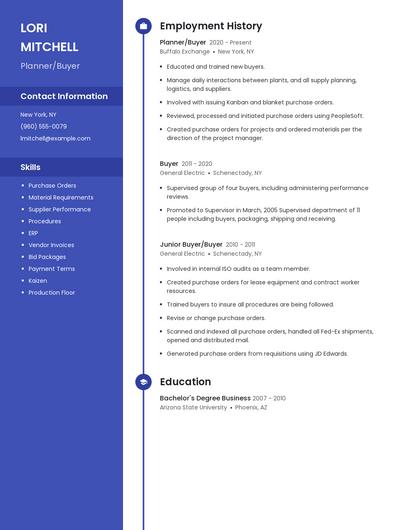 Resume example 4