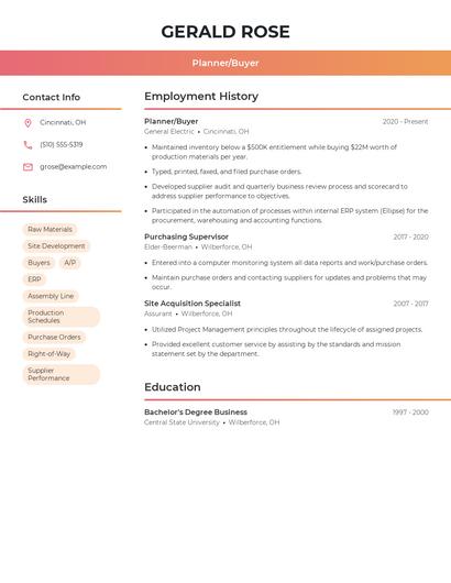 Resume example 3