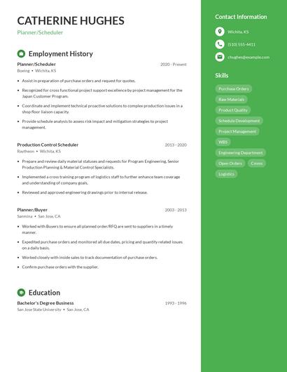 Resume example 4