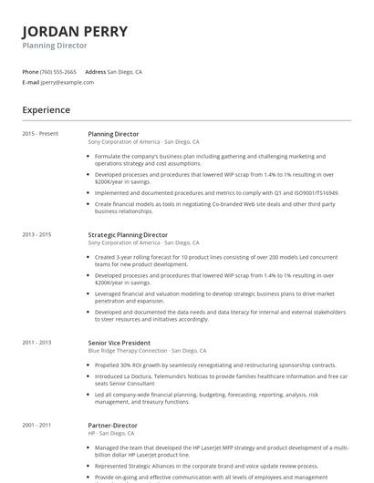 Planning Director Resume