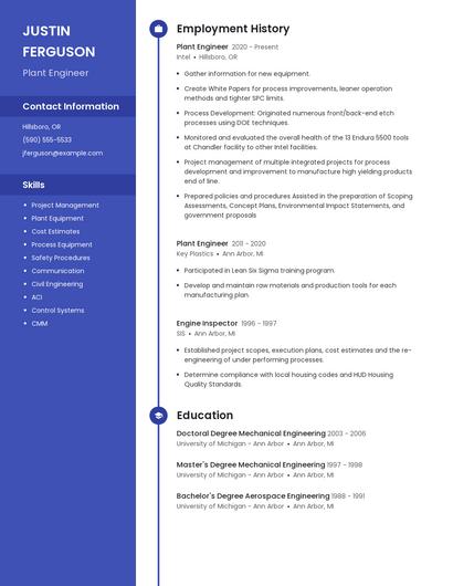 Resume example 4