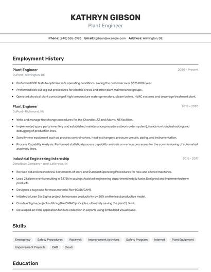 Resume example 2