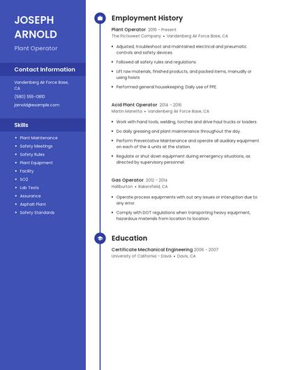 Resume example 4