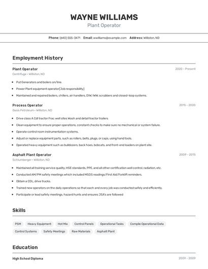 Resume example 2