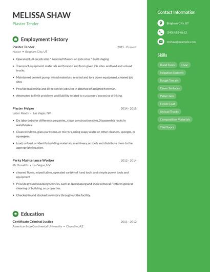 Plaster Tender Resume