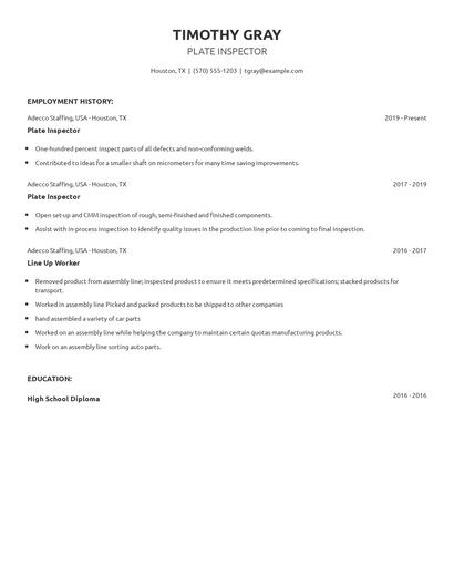 Plate Inspector Resume