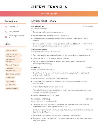 Resume example 3