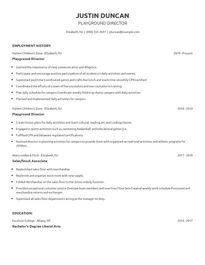 Playground Director Resume