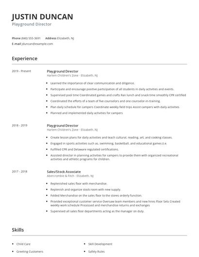 Playground Director Resume