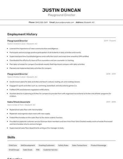 Playground Director Resume