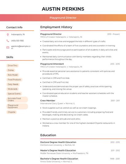 Playground Director Resume