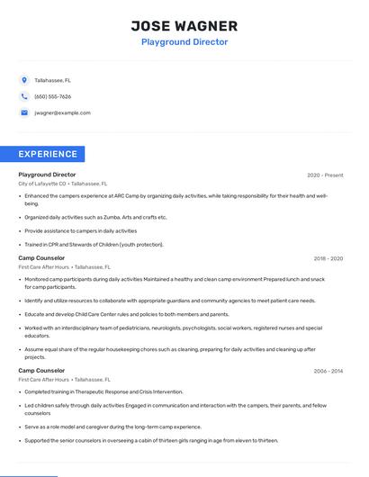 Playground Director Resume