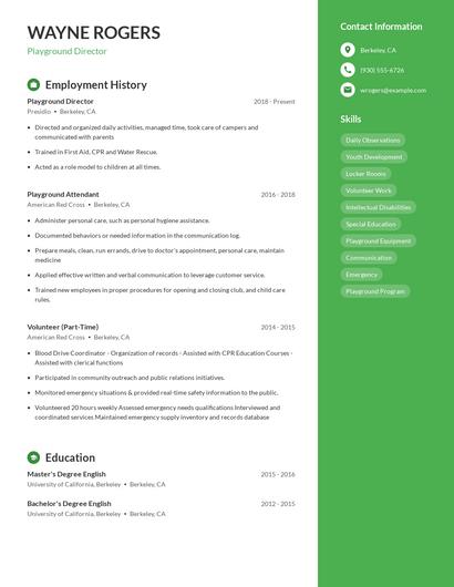 Playground Director Resume