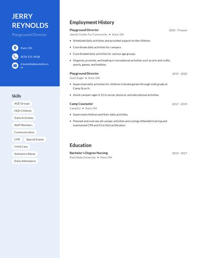 Playground Director Resume