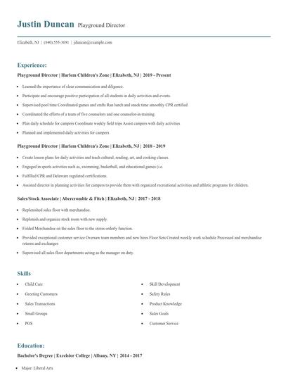 Playground Director Resume