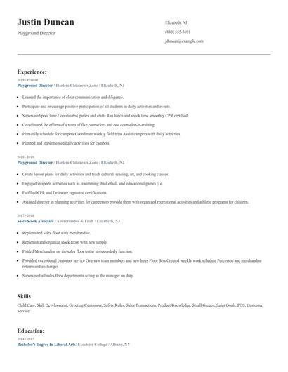 Playground Director Resume