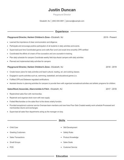 Playground Director Resume