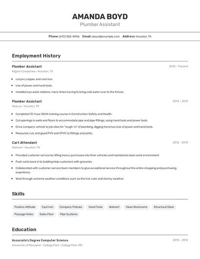 Resume example 2